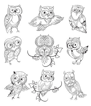 Cute Owls Outline Collection