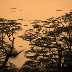 Sunset Lake Elementeita Kenya