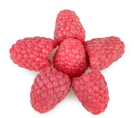 tasty raspberries