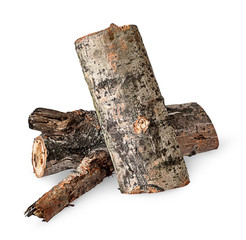 Two poplar logs