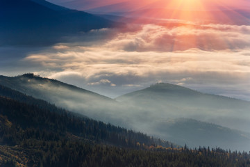 Plakat Magical and colorful landscape in the mountains at sunrise. View of foggy hills covered by forest.