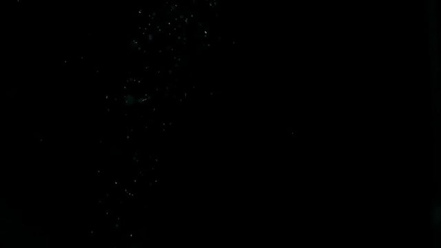Real dust particles slowly floating down, isolated on black background
