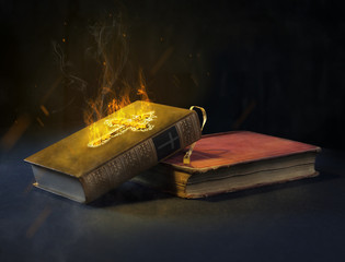 Holy Book/Bible burning