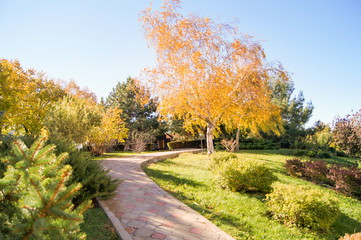 Park Plants and Trees.