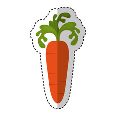fresh vegetable isolated icon vector illustration design