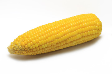 Boiled corn on a white background.