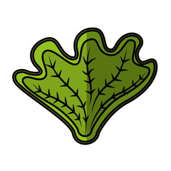 Obraz premium fresh vegetable isolated icon vector illustration design