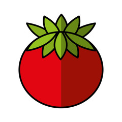 fresh vegetable isolated icon vector illustration design