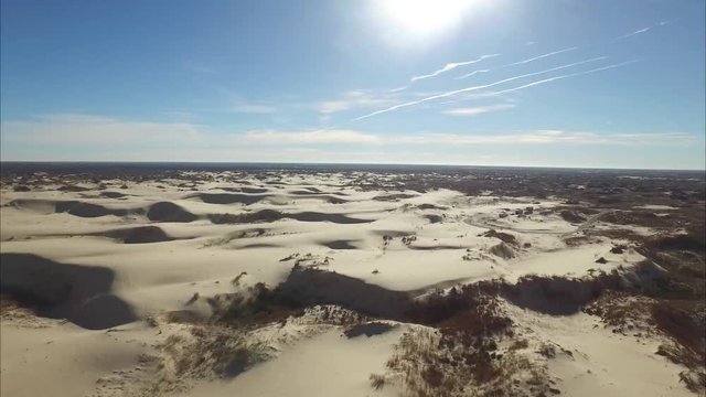 HORSES, COWS, AND SAND DUNES OF WEST TEXAS
