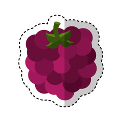 delicious fresh fruit icon vector illustration design