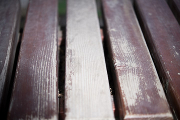 bench in the park