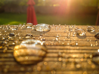 Rain Drop on Wood