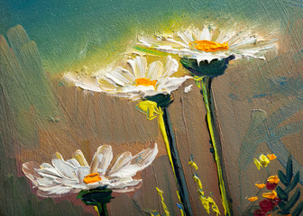 Oil painting Daisy flowers - 135490487