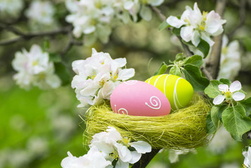 Easter eggs in a nest in the flowering garden