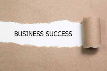 business success written under torn paper