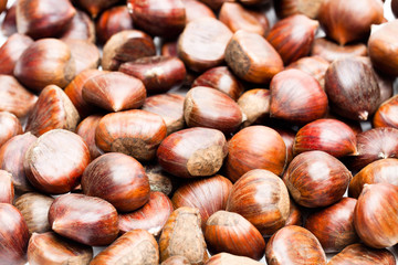 Raw  sweet chestnuts. Ready for cooking.