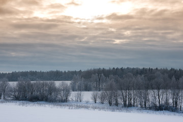 photo of winter landscape with hills and trees on the background