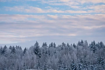Zelfklevend Fotobehang Mistig bos winterlandschap van bomen tegen de lucht.