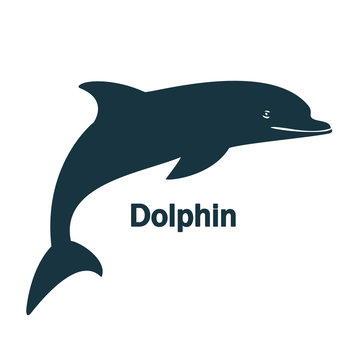 silhouette dolphin on the white background blue text one fin