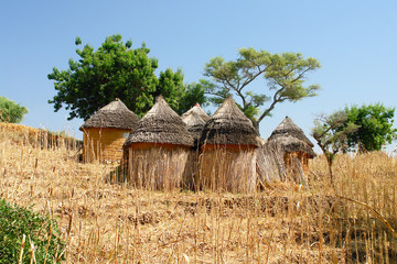 View of the Chieftains village Oudjila  of Podoko people in Cameroon   © robnaw