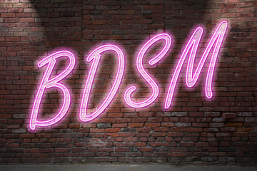 Leuchtreklame BDSM an Ziegelsteinmauer
