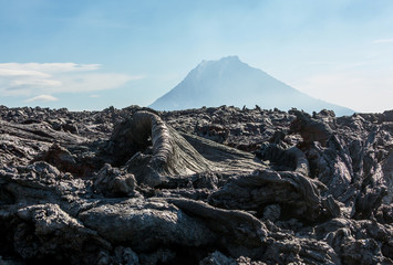 The active lava flow from a new crater on the slopes of volcanoes Tolbachik, on background volcano...