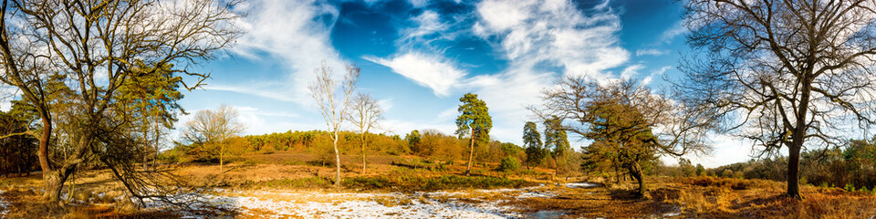 Obraz na płótnie Canvas Panorama einer Naturlandschaft mit Wald und Schnee