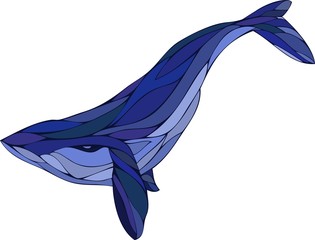 Fototapeta premium Blue whale in vector
