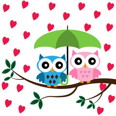Two Owls sitting on the branch with green umbrella under the hearts rain