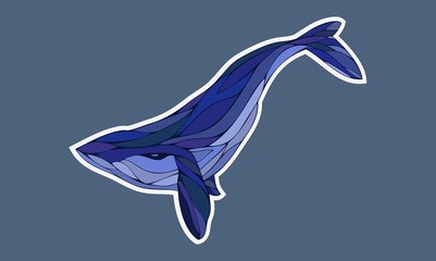 blue whale in vector