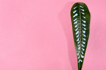 Artistic leaf