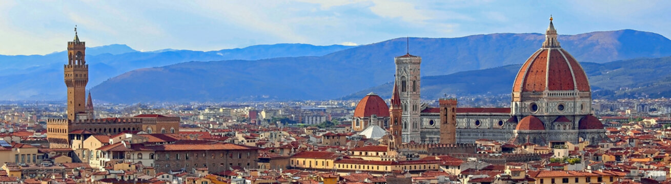 view of Florence with Old Palace and Dome of Cathedral from Mich