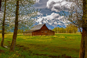Fototapeta premium Barn in the Grand Tetons
