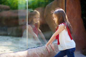 Cute little girl watching animals in the zoo on warm and sunny summer day © MNStudio