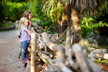 Two cute little sisters watching animals in the zoo on warm and sunny summer day © MNStudio