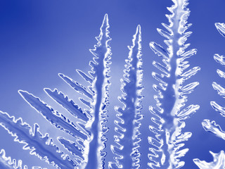 Fototapeta na wymiar Ice shard macro detail. Crystalline.