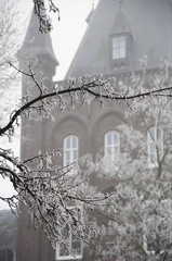 frozen tree branches in Nothern Europe