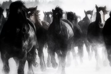  雪原を走る馬の集団 © makieni