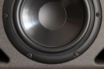 Woofer or bass cone of a high end hi-fi speaker cabinet