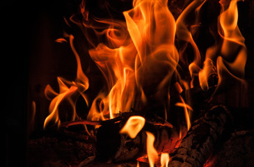 Fototapeta premium Fire flames on a black background