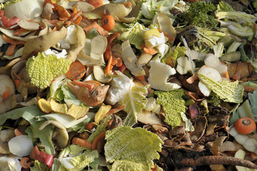 compost heap
