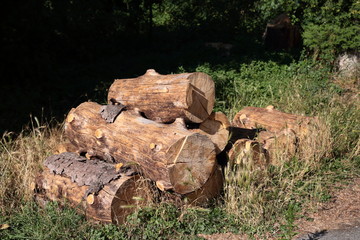 logs