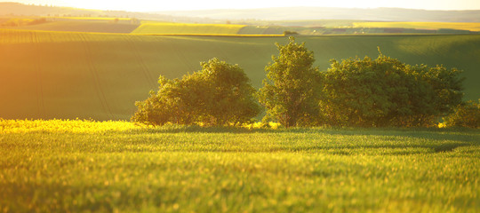 Agricultural background in warm tones