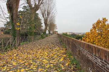 Naklejka premium Autumn landscape - fallen yellow leaves and a path in the Medici Fortress of Santa Barbara. Pistoia. Tuscany. Italy.