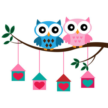 Two Owls sitting on the branch with birdhouses