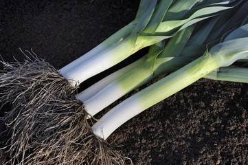 Leeks