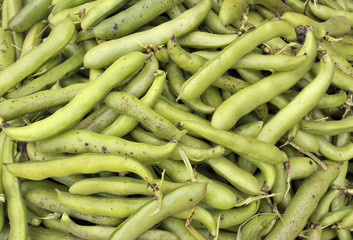 Broad beans