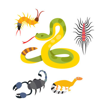 Vector flat snakes and other danger animals.