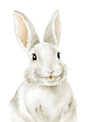 Obraz premium Easter Bunny. Farm animals. Watercolor drawing. Cute Illustration