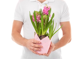 Fototapeta premium Male florist holding house plant isolated on white background